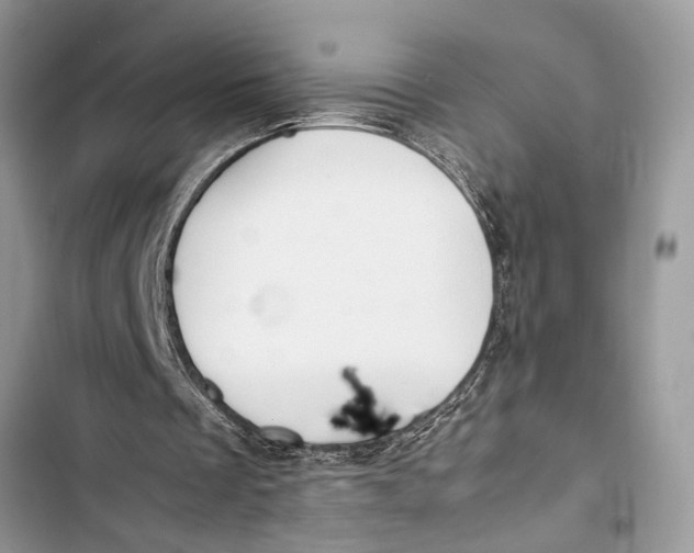 X0000103450289200810031442