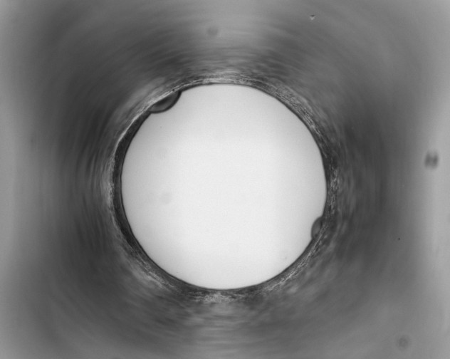 X0000103450290200810031442