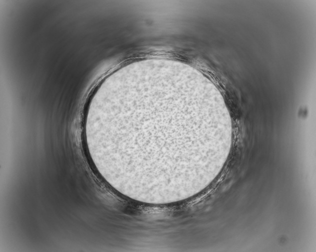 X0000103450293200810031442