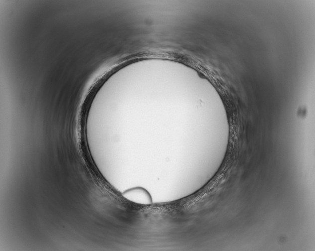 X0000103450294200810031442