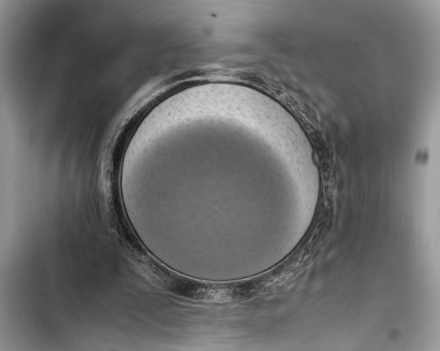 X0000103450295200810031442