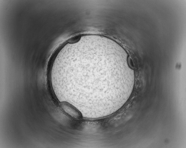 X0000103450296200810031442