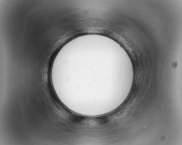 X0000103450299200810031442