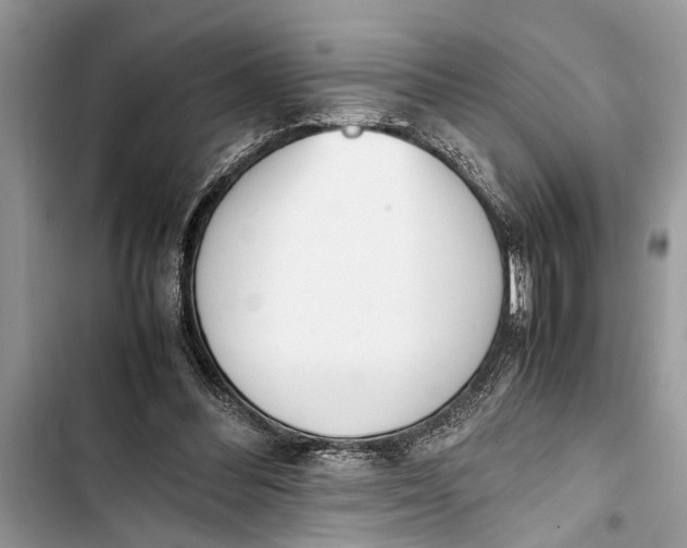 X0000103450300200810031442