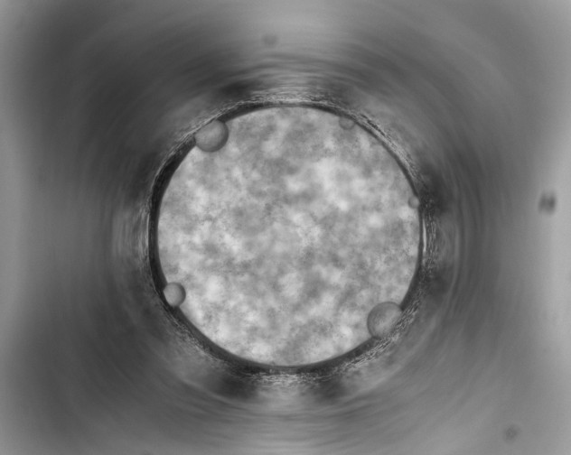 X0000103450301200810031442