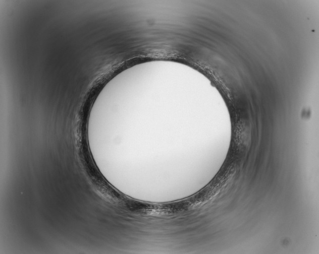 X0000103450303200810031442