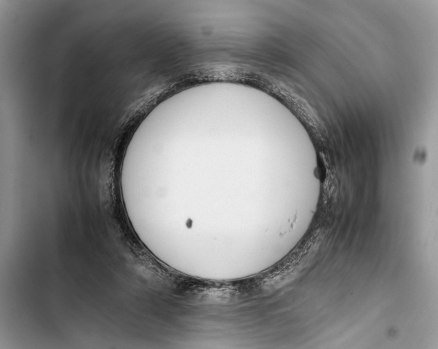 X0000103450306200810031442