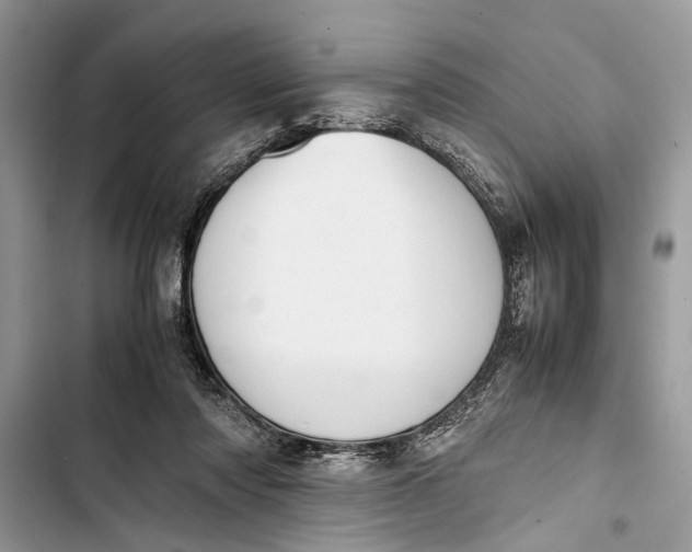 X0000103450310200810031441