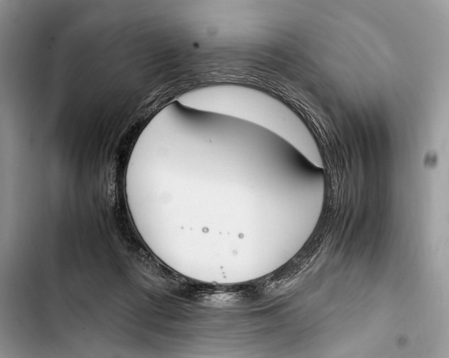 X0000103450312200810031441