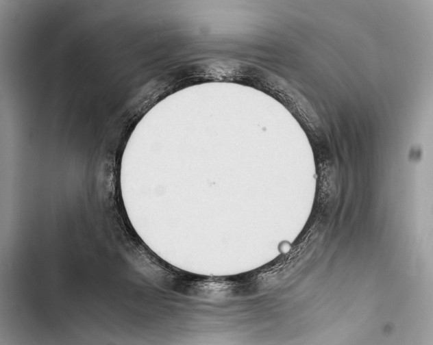 X0000103450313200810031441