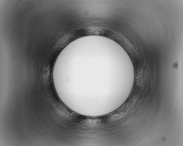 X0000103450314200810031441