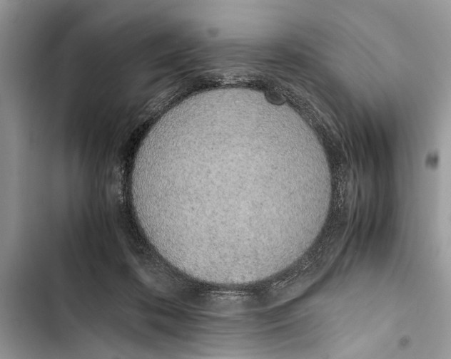 X0000103450316200810031441