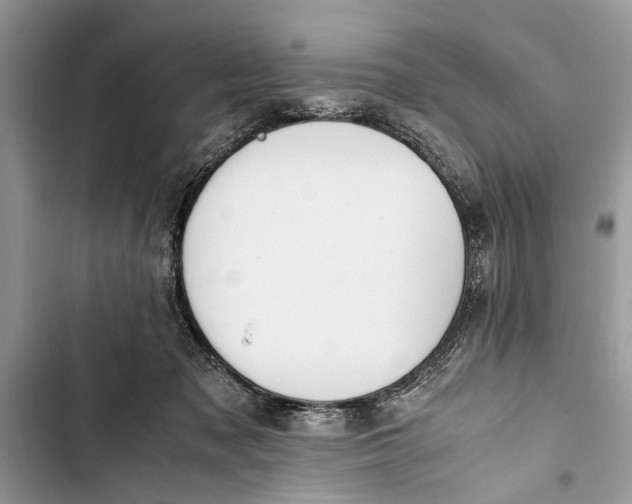 X0000103450317200810031441