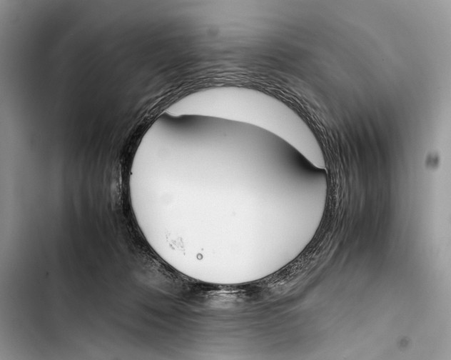 X0000103450320200810031441