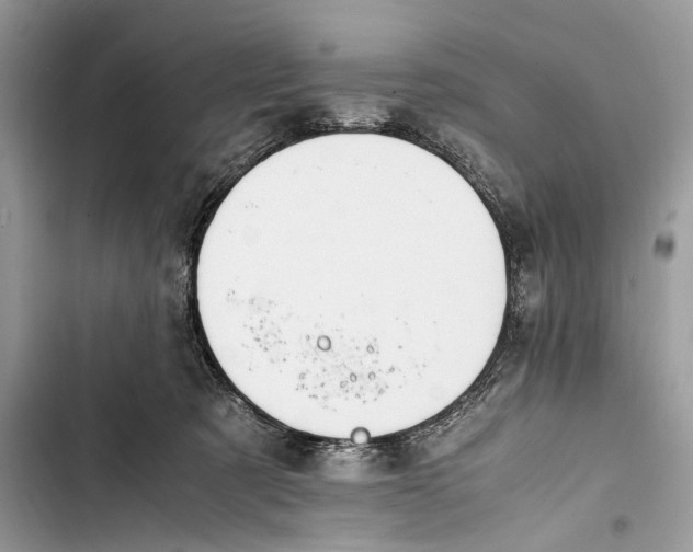 X0000103450321200810031441