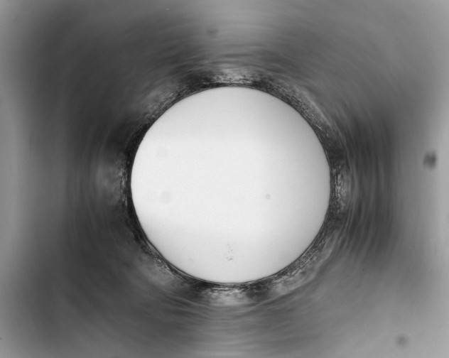 X0000103450322200810031441