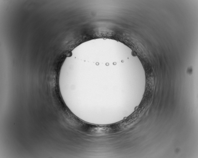 X0000103450323200810031441