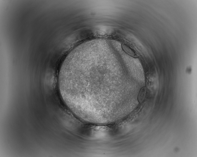 X0000103450324200810031441