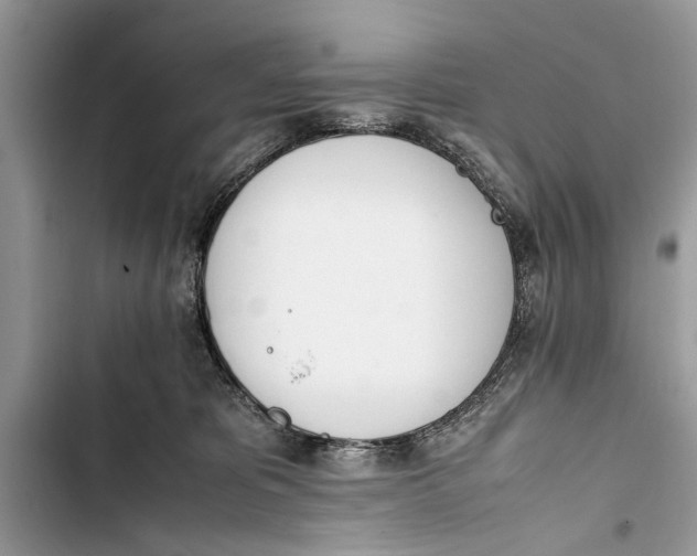 X0000103450325200810031441