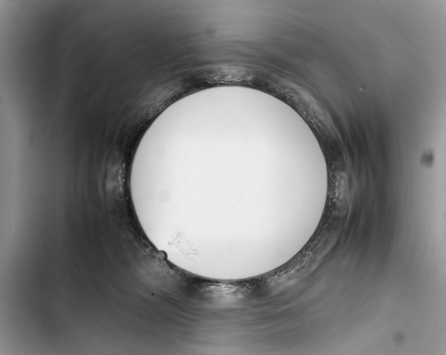 X0000103450326200810031441