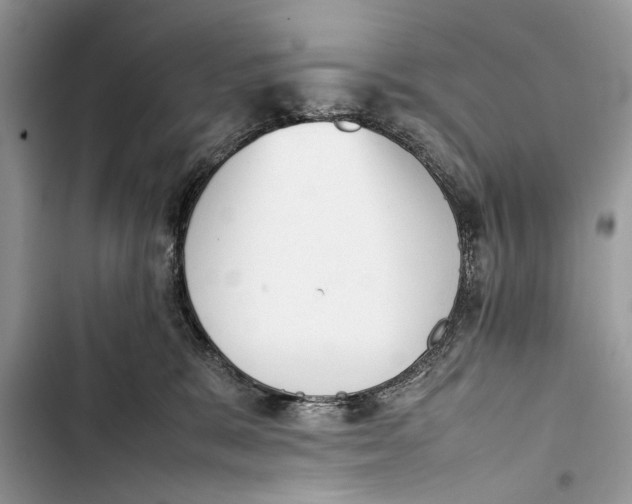 X0000103450327200810031441