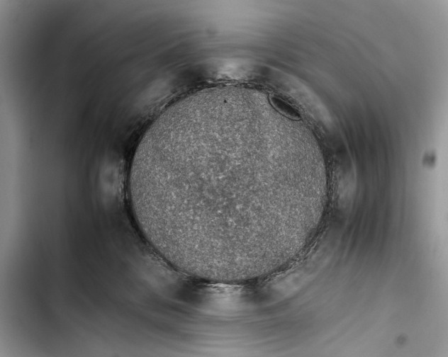 X0000103450328200810031441