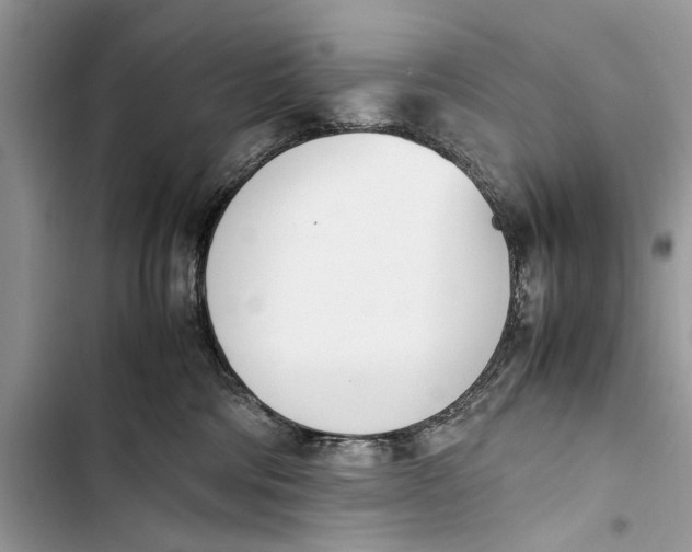 X0000103450330200810031441