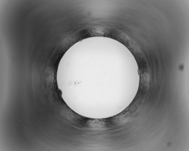 X0000103450331200810031441