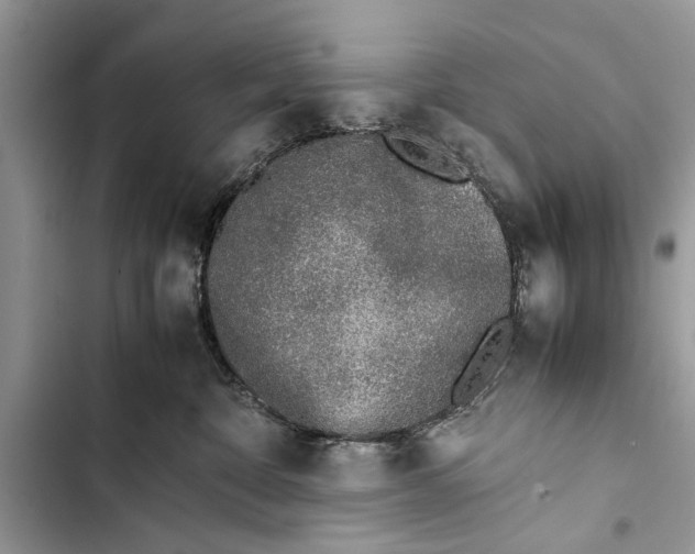 X0000103450332200810031441