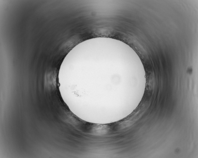 X0000103450334200810031441