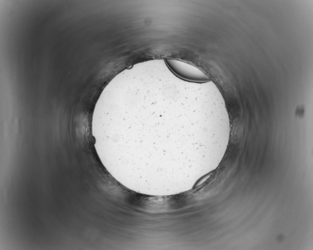 X0000103450335200810031441