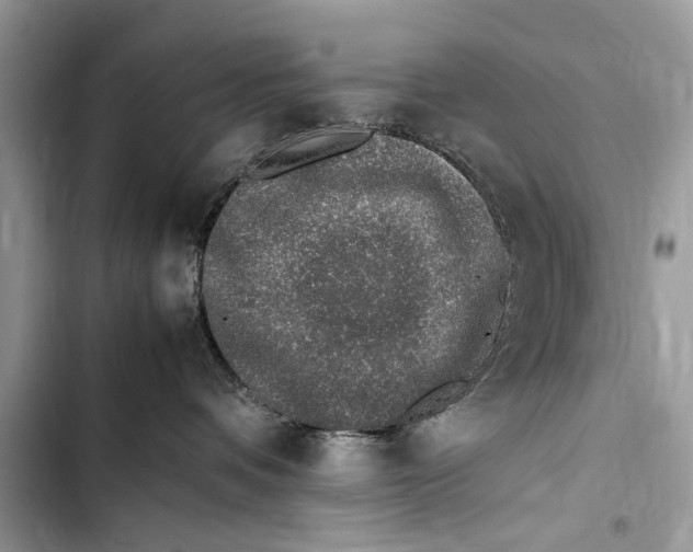 X0000103450336200810031441