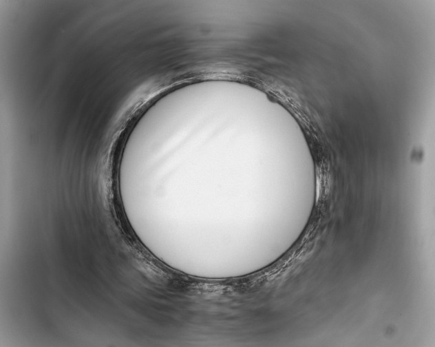 X0000103450339200810031440