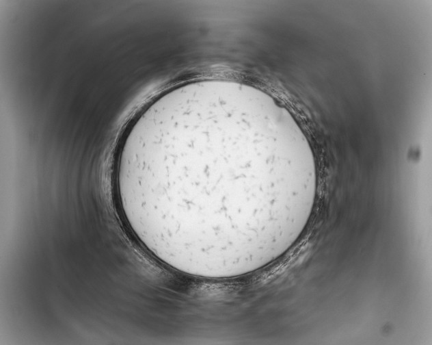 X0000103450341200810031440