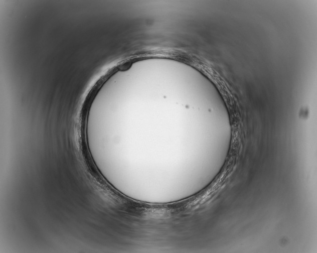 X0000103450342200810031441