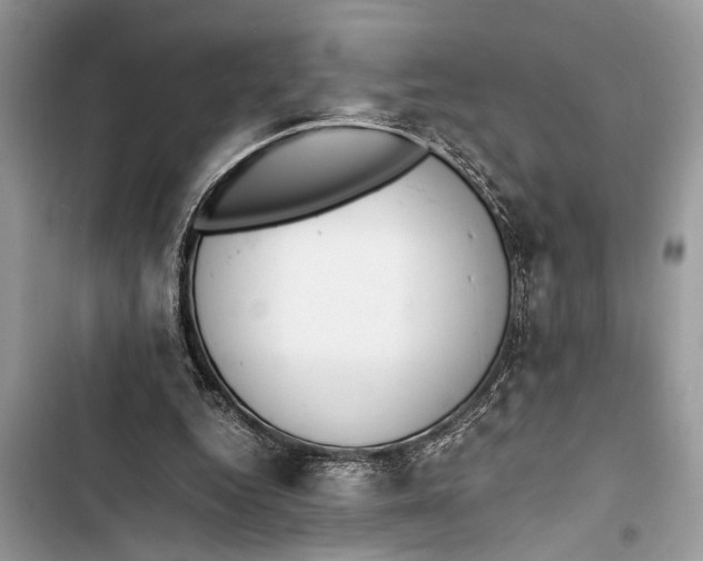 X0000103450344200810031441