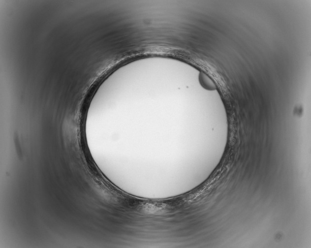 X0000103450346200810031441