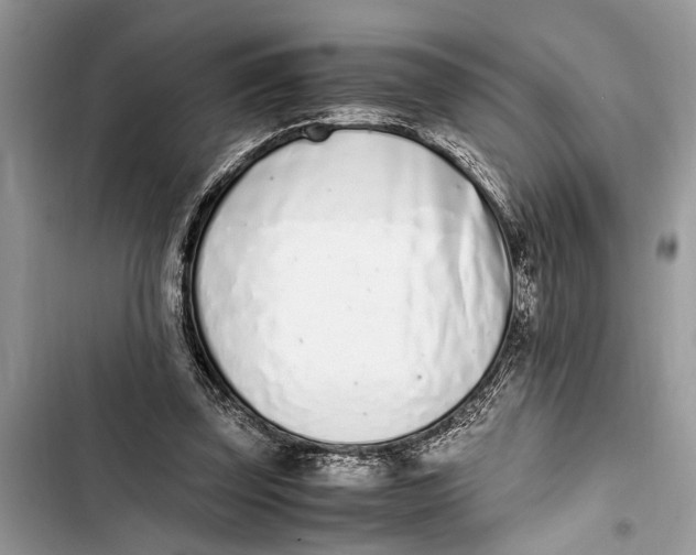 X0000103450347200810031441