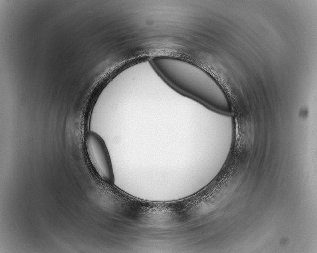 X0000103450348200810031441