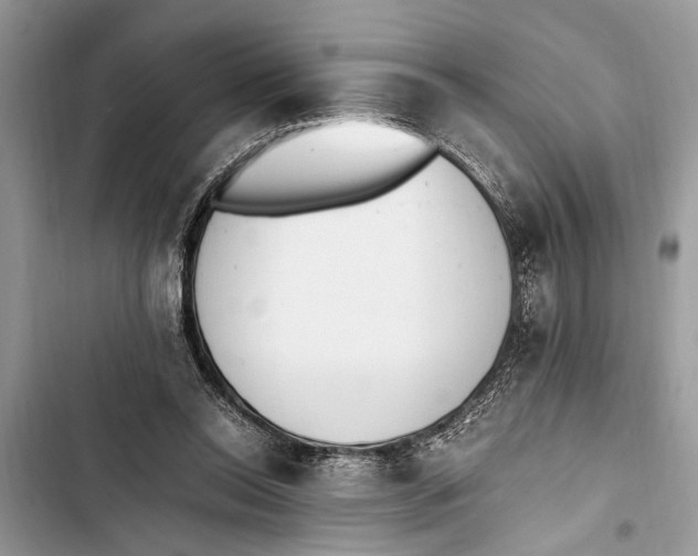 X0000103450350200810031441