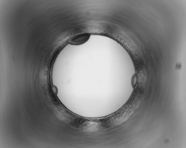 X0000103450352200810031441