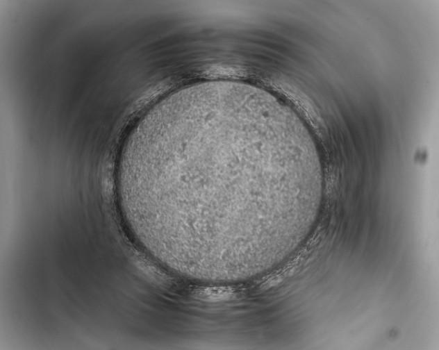 X0000103450353200810031441