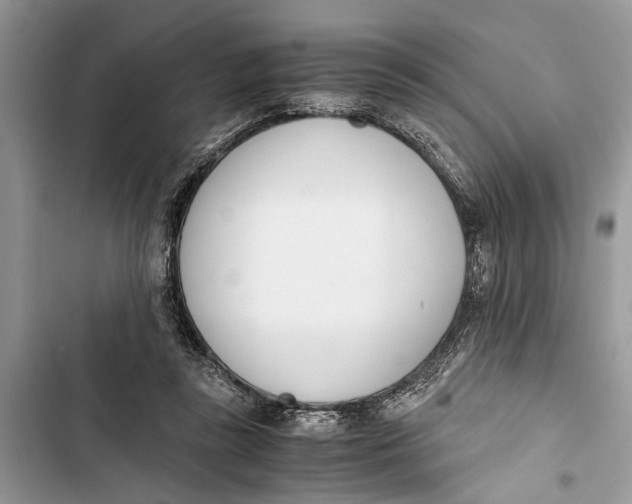 X0000103450355200810031441