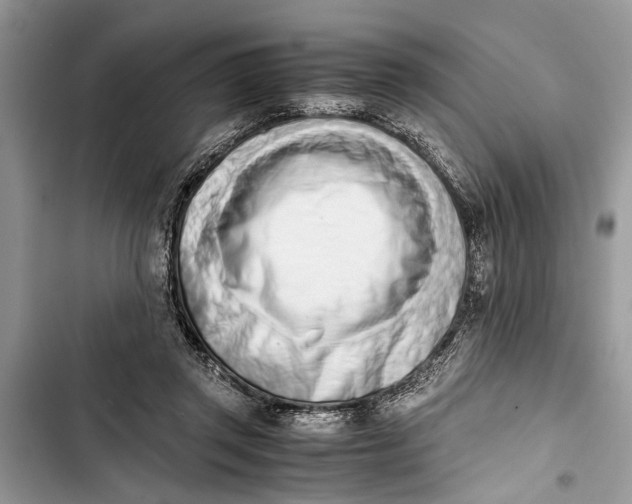 X0000103450357200810031441