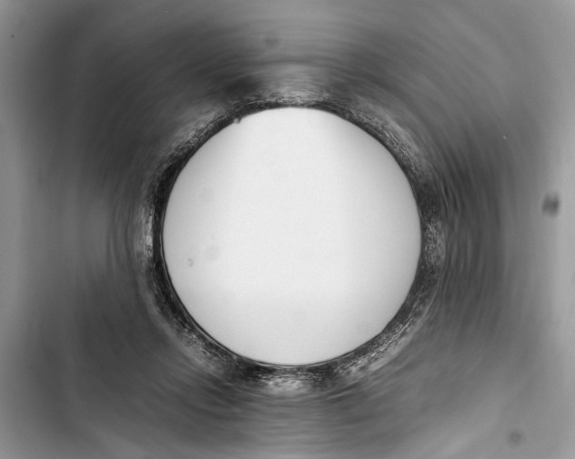 X0000103450358200810031441