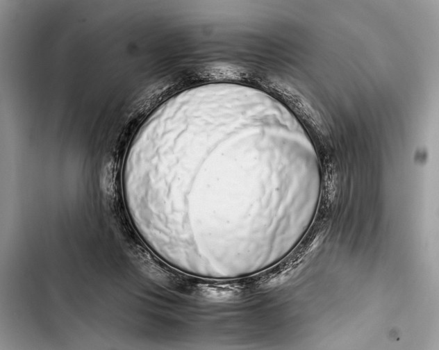 X0000103450359200810031441