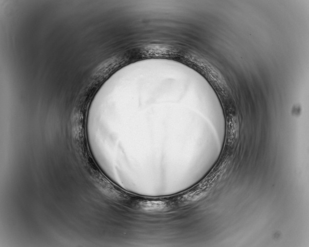 X0000103450361200810031441