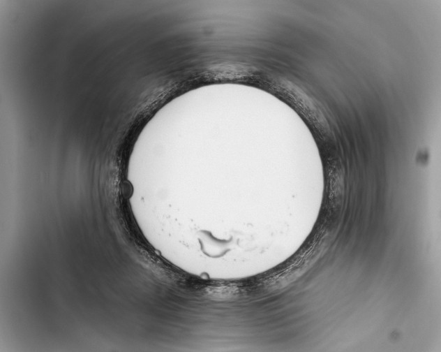 X0000103450362200810031441