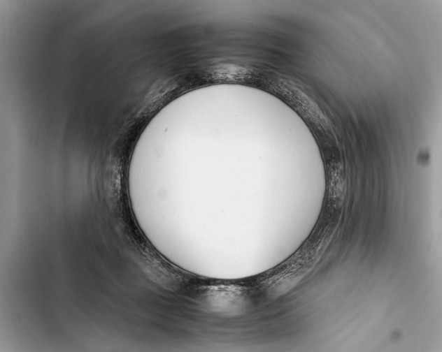 X0000103450363200810031441