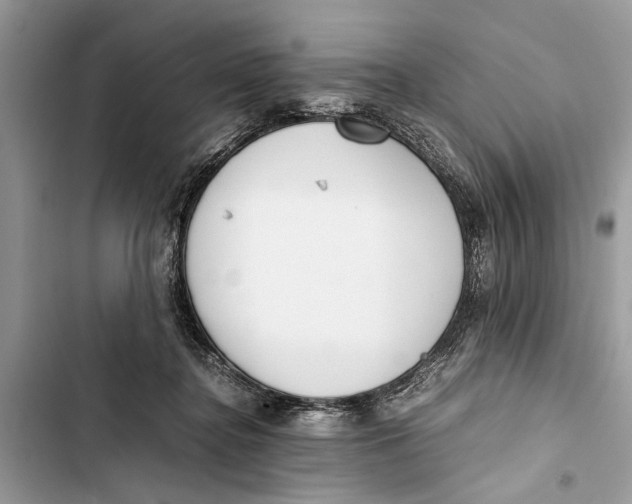 X0000103450364200810031441